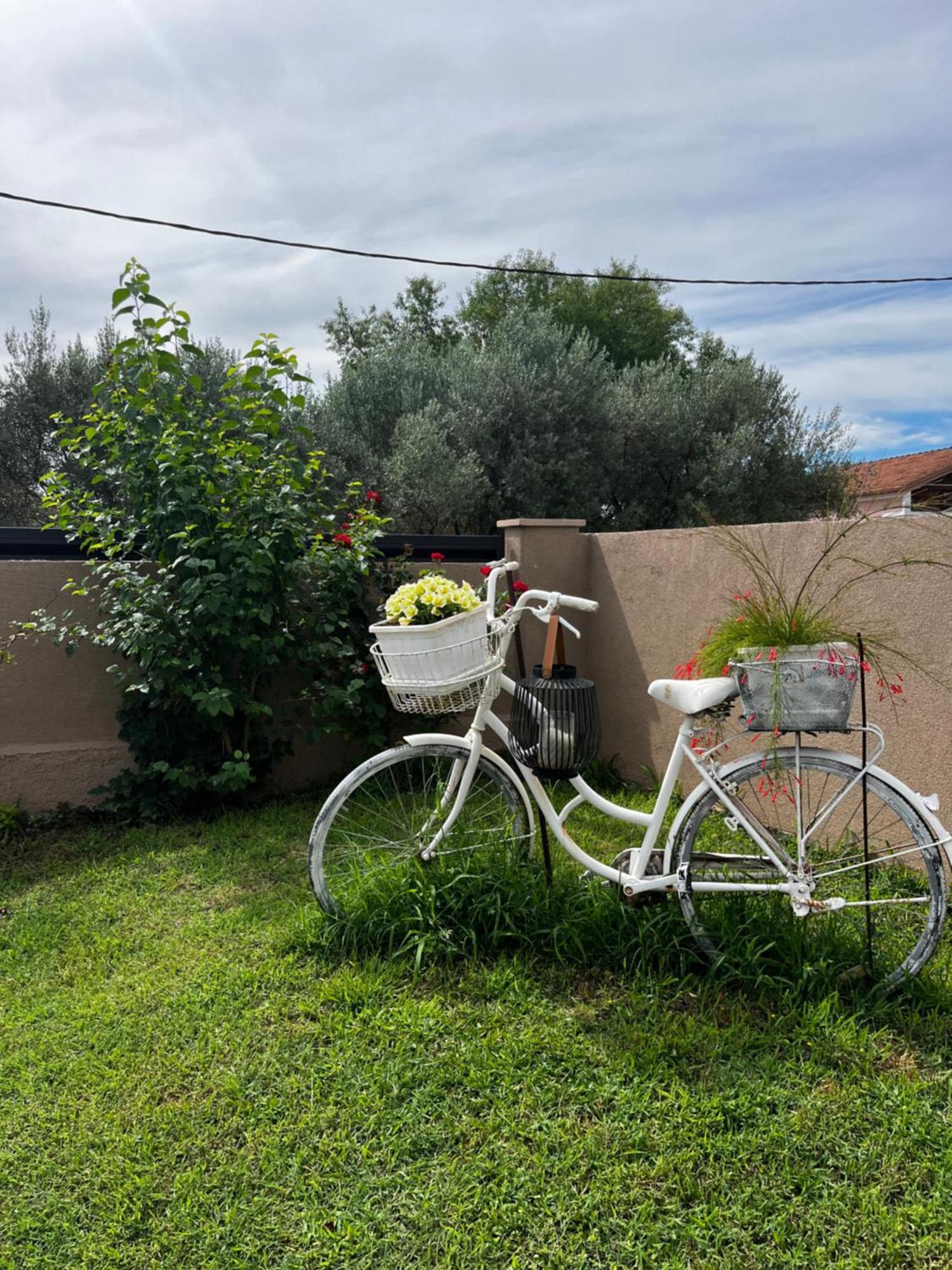 Apartman Marta Zadar Extérieur photo